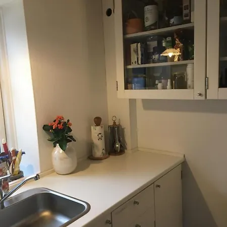 Pegasus * הילרוד