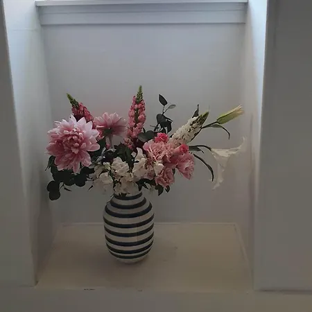 Pegasus לינה וארוחת בוקר הילרוד