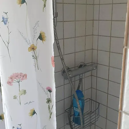 Pegasus הילרוד