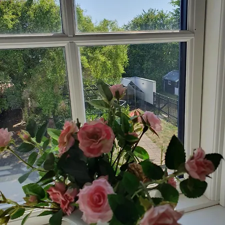 Pegasus Bed & Breakfast *