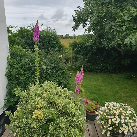 לינה וארוחת בוקר Pegasus הילרוד