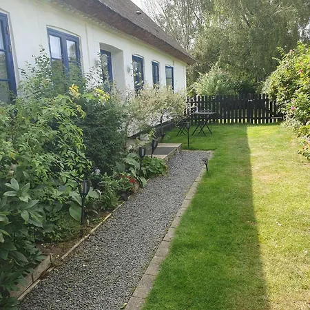 Frühstückspension Pegasus *