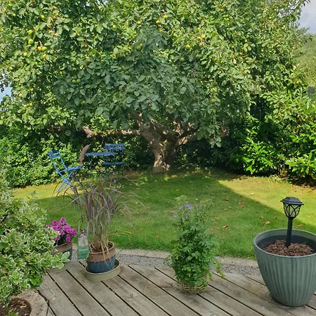 Panzió Pegasus Hillerød