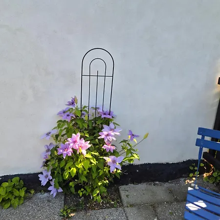 Bed and Breakfast Pegasus Hillerød