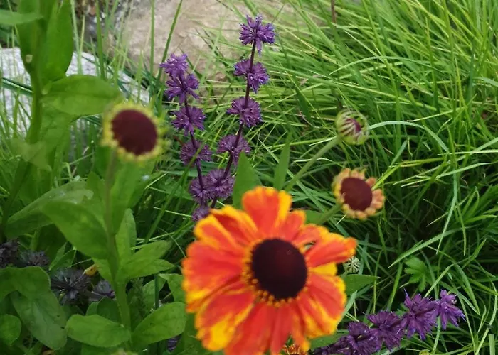 Bed & Breakfast Pegasus *