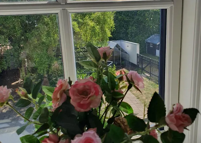 Pegasus Bed & Breakfast *