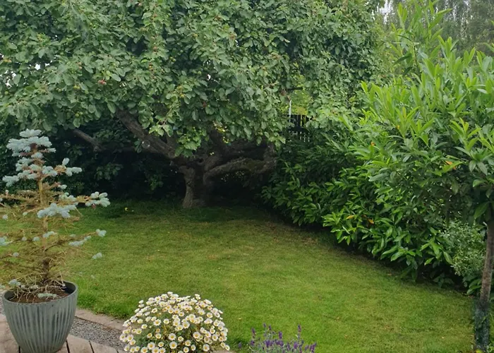 Pegasus Bed & Breakfast Hillerød