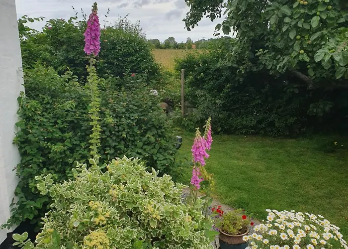 Bed & Breakfast Pegasus Hillerød